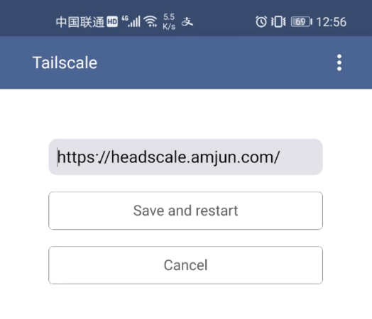 Docker 搭建 headscale 异地组网完整教程