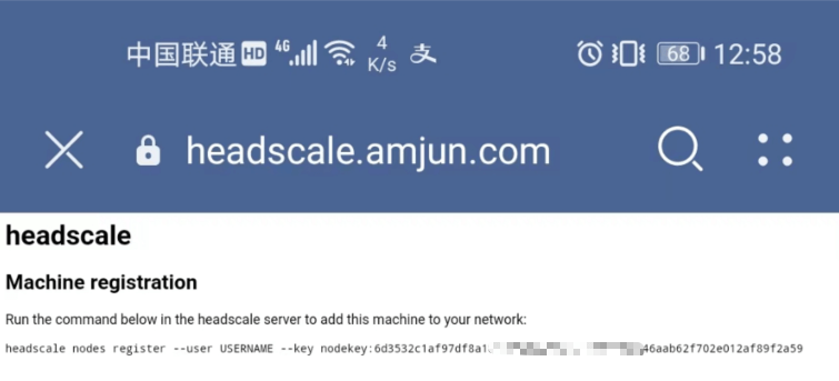 Docker 搭建 headscale 异地组网完整教程