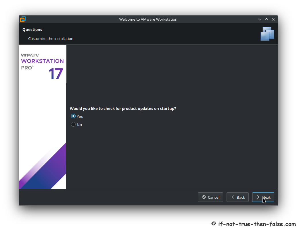 启动时检查 VMware 更新