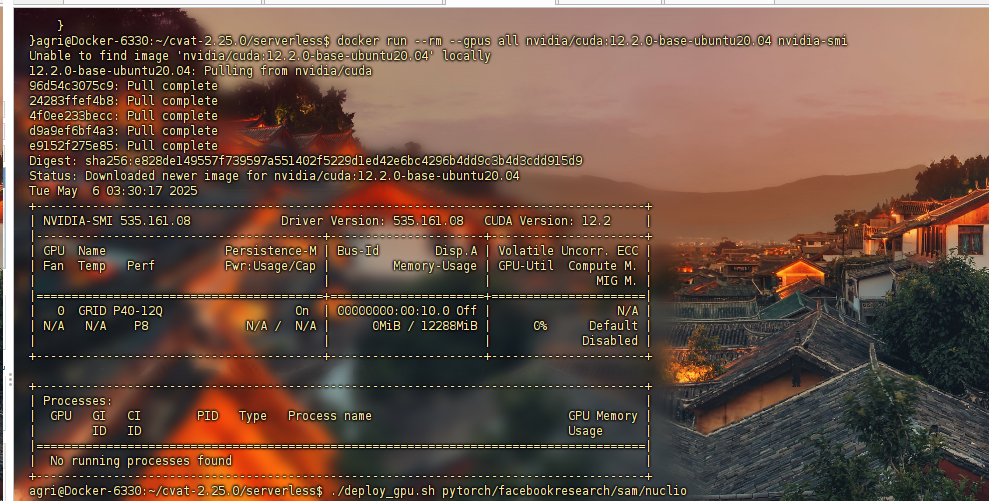 image-20250506113154047